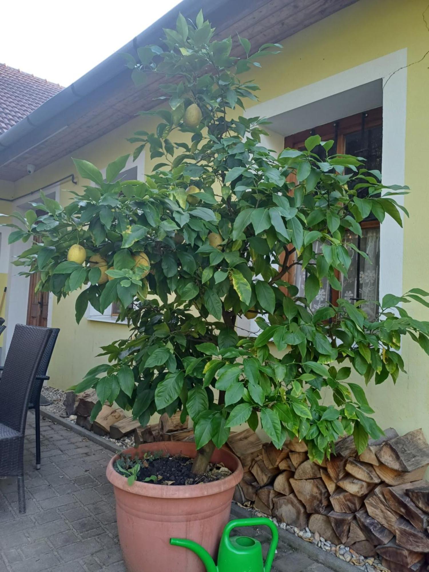 Zanati Apartmannhaz Nagykapornak 外观 照片